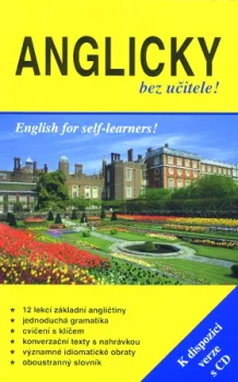  Anglicky bez učitele (VÝPRODEJ)